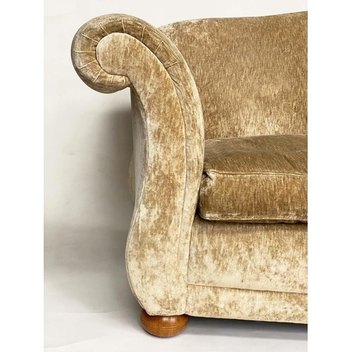 172 - SOFA, champagne velvet chenille upholstered with arched back, scroll  arms and feather pads, 222cm W... 