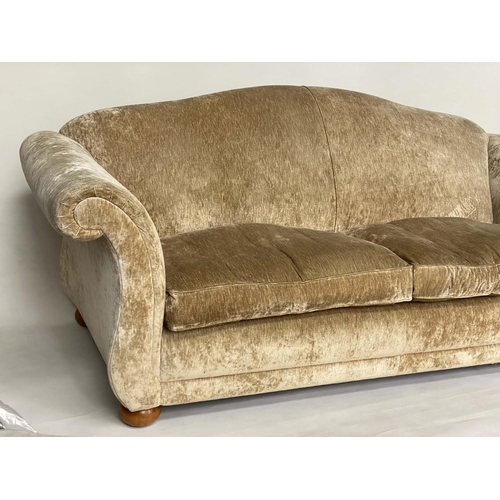 172 - SOFA, champagne velvet chenille upholstered with arched back, scroll  arms and feather pads, 222cm W... 