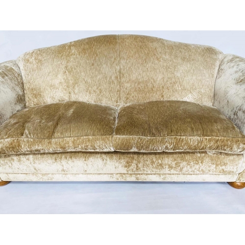 172 - SOFA, champagne velvet chenille upholstered with arched back, scroll  arms and feather pads, 222cm W... 