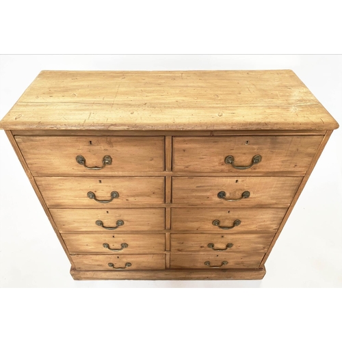 233 - BANK OF DRAWERS, Victorian pine with two banks of five drawers and plinth, 98cm W x 37cm D x 96cm H.