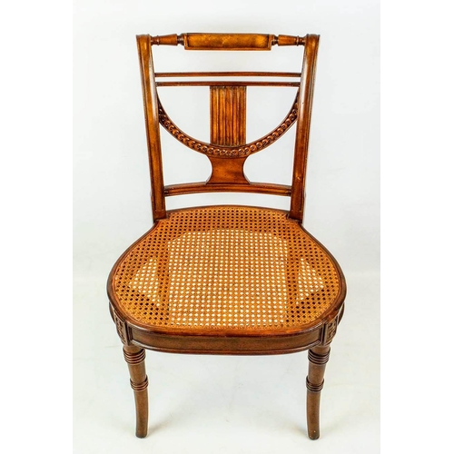 261 - BRIGHTS OF NETTLEBED DINING CHAIRS, 92cm H x 57cm W, a set of ten Regency style with caned seats. (1... 