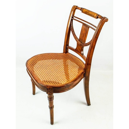 261 - BRIGHTS OF NETTLEBED DINING CHAIRS, 92cm H x 57cm W, a set of ten Regency style with caned seats. (1... 