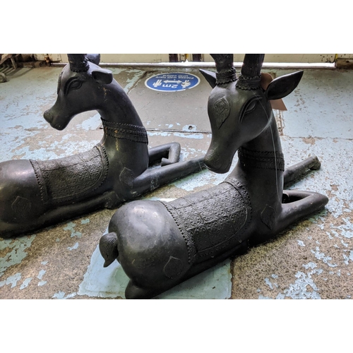 455 - RECUMBENT STAGS, a pair, perdu cast bronze, 80cm H.