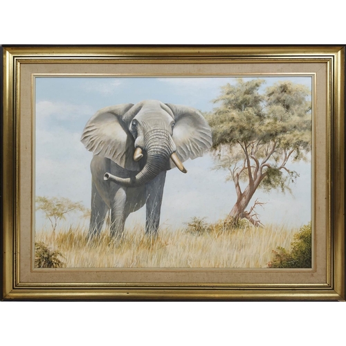 48 - PETER BRUCE (b.1949) 'African Elephant', oil on board, 68cm x 97cm, signed framed.