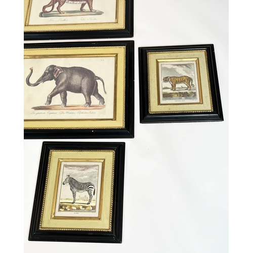 67 - TROWBRIDGE GALLERY ANIMAL PRINTS, a set of nine, four large 52cm x 64cm and five smaller 41cm x 36cm... 