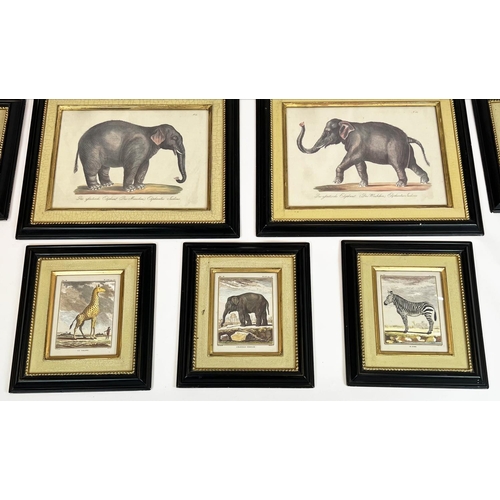 67 - TROWBRIDGE GALLERY ANIMAL PRINTS, a set of nine, four large 52cm x 64cm and five smaller 41cm x 36cm... 