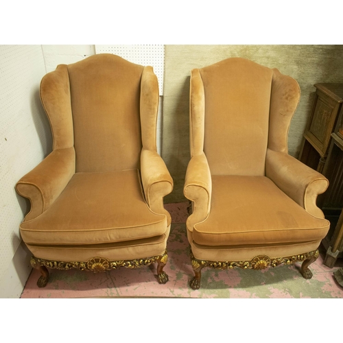 126 - WING ARMCHAIRS, 117cm H x 86cm, a pair, Georgian style carved and gilt heightened in brown velvet. (... 