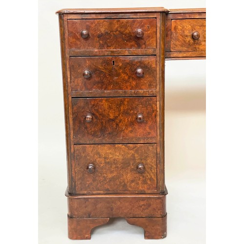 173 - PEDESTAL DESK, Victorian burr walnut with gilt tooled green leather writing surface above nine well ... 