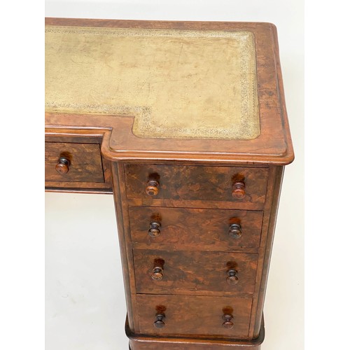 173 - PEDESTAL DESK, Victorian burr walnut with gilt tooled green leather writing surface above nine well ... 