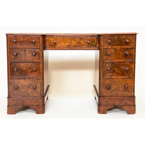 173 - PEDESTAL DESK, Victorian burr walnut with gilt tooled green leather writing surface above nine well ... 