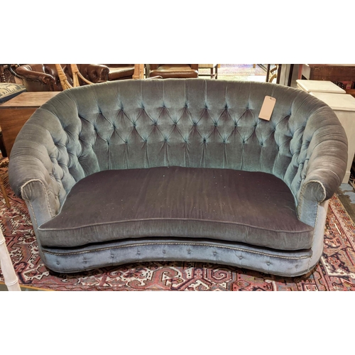 109 - SOFA, early 20th century, smoke blue velvet with buttoned arched back, 170cm W.