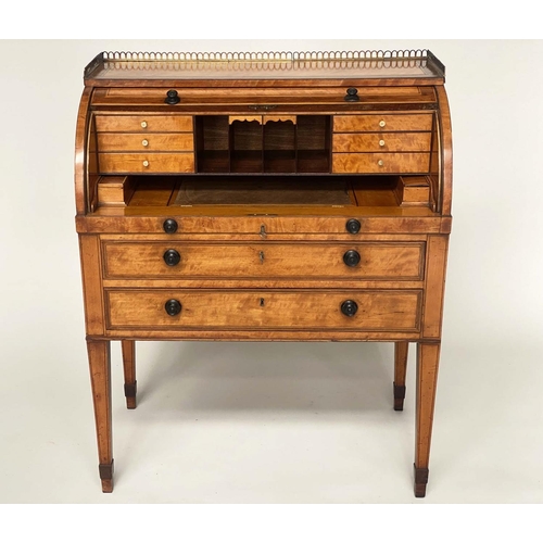 141 - CYLINDER BUREAU, 19th century satinwood and tulipwood crossbanded with fitted interior, pull out wri... 