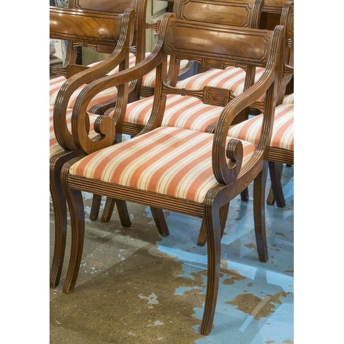 260 - DINING CHAIRS, a set of eight Regency mahogany including two armchairs with striped drop in seats (o... 