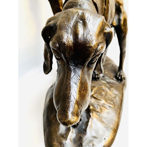 521 - CONTEMPORARY SCHOOL BRONZE OF HOUND, 43cm x 73cm x 32cm