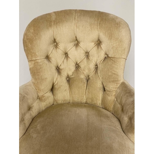 153 - ARMCHAIR, Victorian walnut with lemon yellow, plush velvet buttoned upholstery, 74cm W.