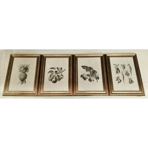 515 - BOTANICAL PRINTS, a set of four, framed and glazed, 40cm x 29cm. (4)