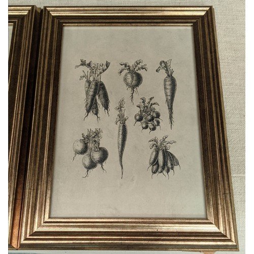 515 - BOTANICAL PRINTS, a set of four, framed and glazed, 40cm x 29cm. (4)