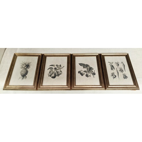 515 - BOTANICAL PRINTS, a set of four, framed and glazed, 40cm x 29cm. (4)