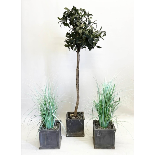 116 - FAUX POTTED BAY TREE, approx 175cm H, together with a pair of faux potted grasses. (3)