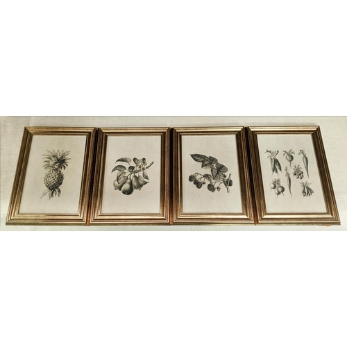 389 - BOTANICAL PRINTS, a set of four, framed and glazed, 40cm x 29cm. (4)