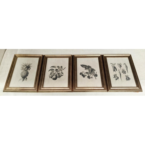 389 - BOTANICAL PRINTS, a set of four, framed and glazed, 40cm x 29cm. (4)