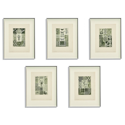 39 - THOMAS WEGNER, 'Studies and Surface Patterns from the Plant and Animal Kingdom' lithographs 71cm x 5... 