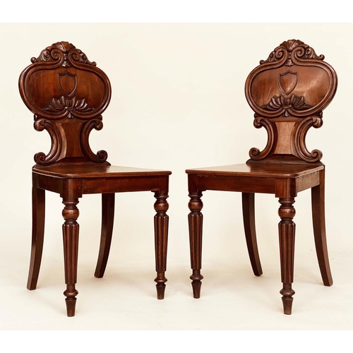 180 - HALL CHAIRS, a pair, Regency period mahogany each with scroll carved rounded backs, panel seats and ... 