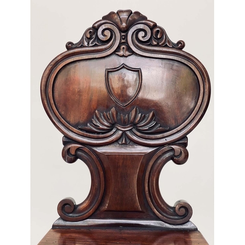 180 - HALL CHAIRS, a pair, Regency period mahogany each with scroll carved rounded backs, panel seats and ... 