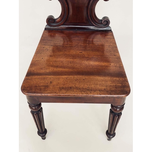 180 - HALL CHAIRS, a pair, Regency period mahogany each with scroll carved rounded backs, panel seats and ... 