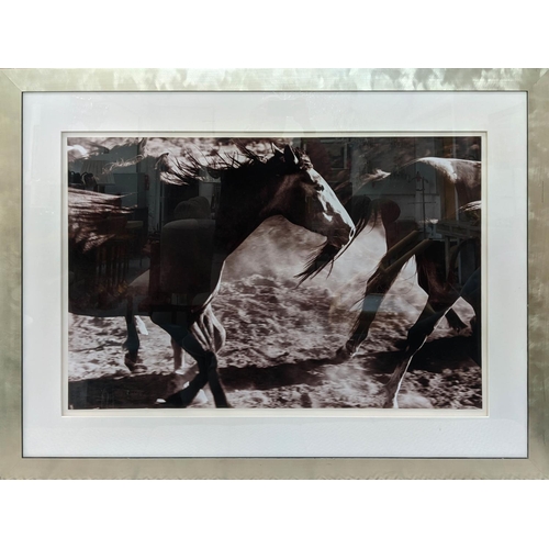 41 - CONTEMPORARY SCHOOL, galloping horses gelatin silver print, 131cm x 95cm, framed and glazed.