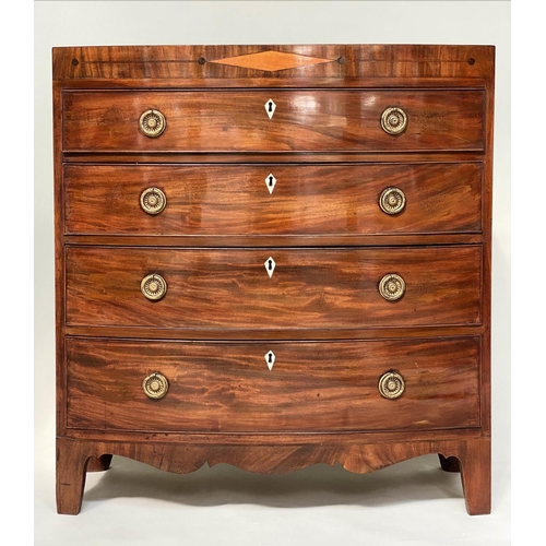 81 - REGENCY HALL CHEST, bowfronted figured mahogany and satinwood marquetry inlaid adapted with four lon... 