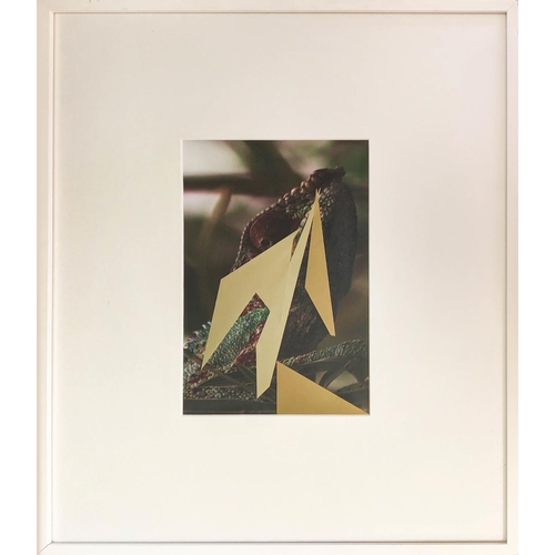 36 - CONTEMPORARY SCHOOL REPTILE, photoprint with gold leaf, 18cm x 30cm.