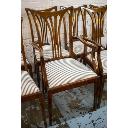 290 - DINING CHAIRS, a set of eight, Edwardian mahogany and boxwood strung, circa 1910, including two armc... 