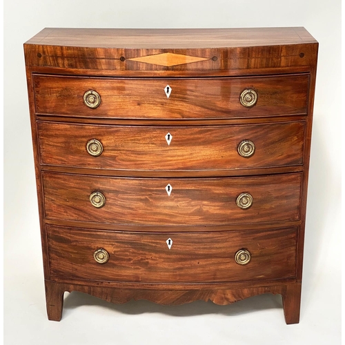 155 - REGENCY HALL CHEST, bowfronted figured mahogany and satinwood marquetry inlaid adapted with four lon... 