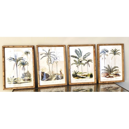 417 - BOTANICAL PRINTS, 50cm x 35cm, set of four, framed and glazed. (4)