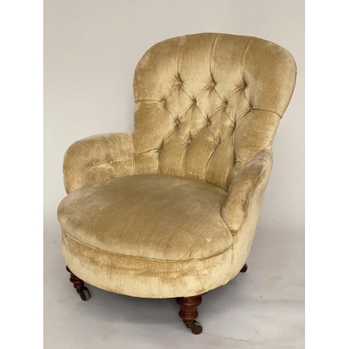 249 - ARMCHAIR, Victorian walnut with lemon yellow, plush velvet buttoned upholstery, 74cm W.