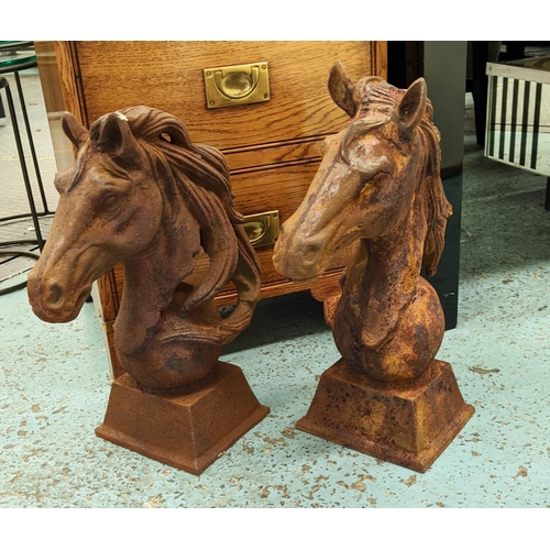 422 - SCULPTURAL STALLION BUSTS, a pair, oxidised metal, 46cm H.