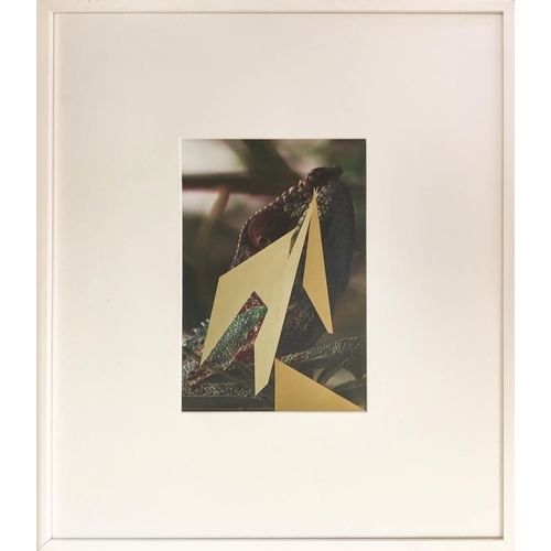 76 - CONTEMPORARY SCHOOL REPTILE, photoprint with gold leaf, 18cm x 30cm.