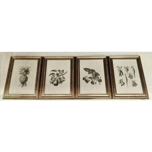 429 - BOTANICAL PRINTS, a set of four, framed and glazed, 40cm x 29cm. (4)