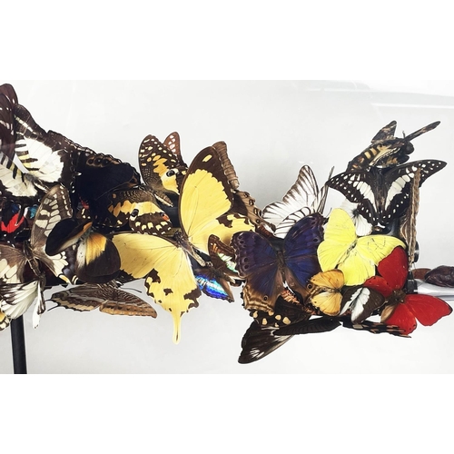 1 - BRAN SYMONDSON (b1971), 'Beat of a wing', decommissioned AK47, mounted with real butterflies and sym... 