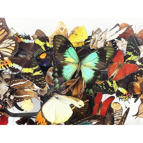 1 - BRAN SYMONDSON (b1971), 'Beat of a wing', decommissioned AK47, mounted with real butterflies and sym... 