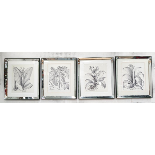 319 - TROWBRIDGE BOTANICAL PRINTS, a set of four, framed and glazed, 165cm x 75cm. (4)