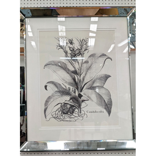 319 - TROWBRIDGE BOTANICAL PRINTS, a set of four, framed and glazed, 165cm x 75cm. (4)