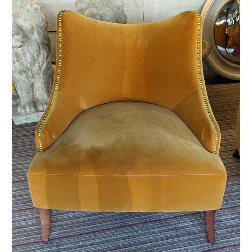 344 - MUNNA BECOMES ME ARMCHAIRS, a pair, 74cm W, mustard cotton velvet upholstered. (2)