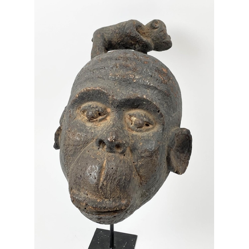 38 - MONKEY MBOULOU MASK, 57cm H, Cameroon.