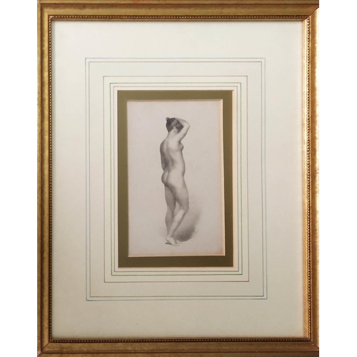 49 - 19TH CENTURY SCHOOL, 'Nude studies', pencil, 20cm x 12cm, framed. (3)