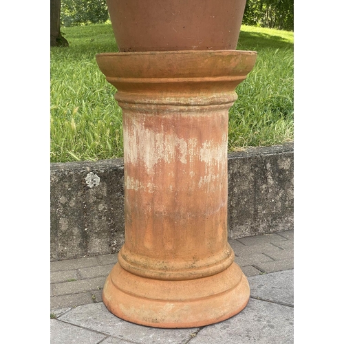 552 - PALM PLANT ON STAND, in terracotta graduated pot on cylindrical fluted terracotta stand, stand 75cm ... 