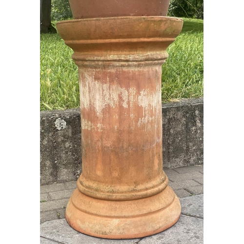 552 - PALM PLANT ON STAND, in terracotta graduated pot on cylindrical fluted terracotta stand, stand 75cm ... 