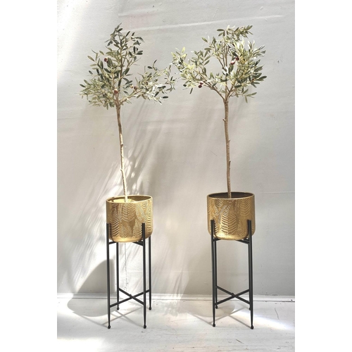 FAUX OLIVE TREES, a pair, 130cm H x 40cm diam., in gilt metal planters, on black stands. (2)