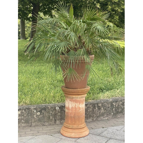 278 - PALM PLANT ON STAND, in terracotta graduated pot on cylindrical fluted terracotta stand, stand 75cm ... 